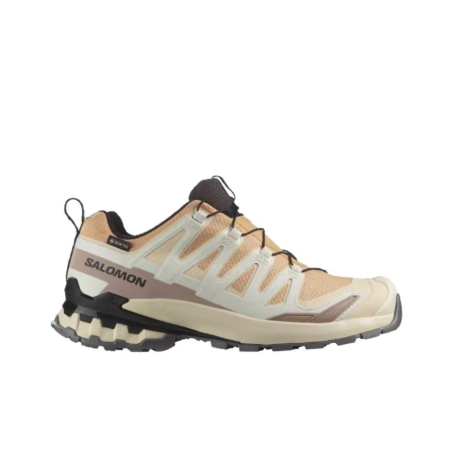 Salomon XA Pro 3D V9 GTX: Zapa - Salomon Shoes Xa Pro 3D reseña y precio