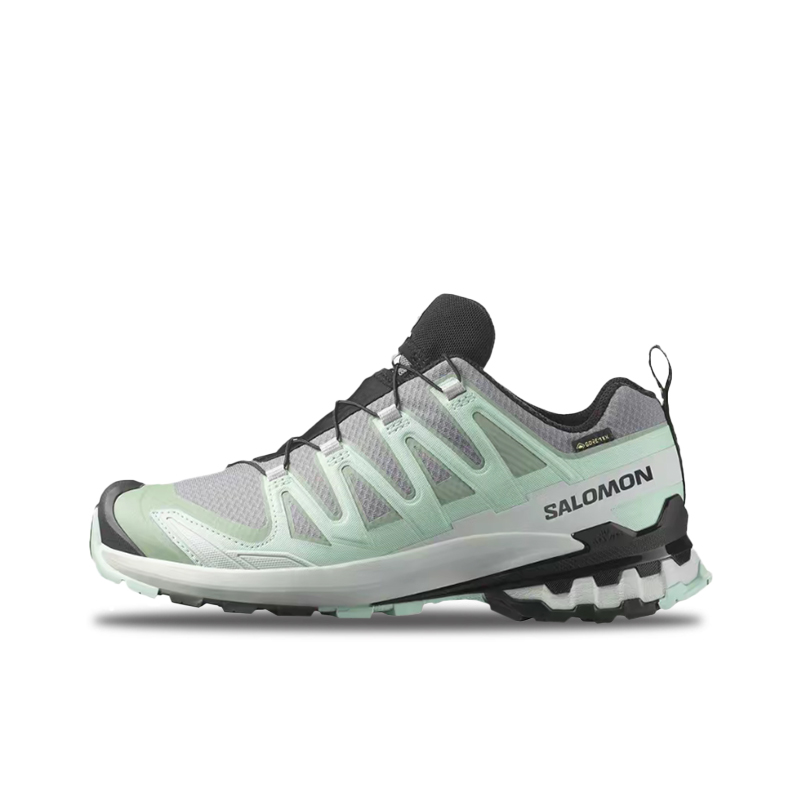 Salomon XA Pro 3D V9 GTX: Zapa - Salomon Shoes Xa Pro 3D reseña y precio